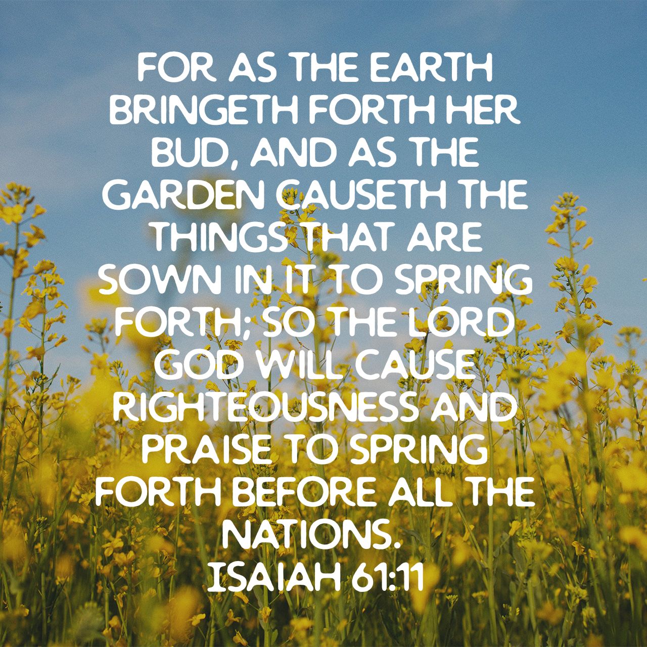 0 1695122002766 45784338 1695029838721