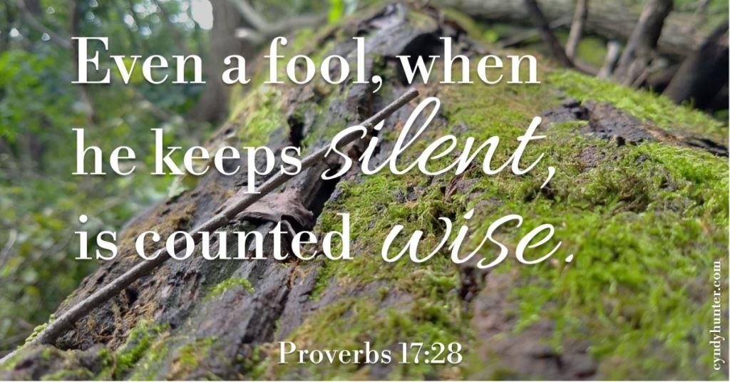 Even a fool when he keeps silent is counted wise. 1024x536