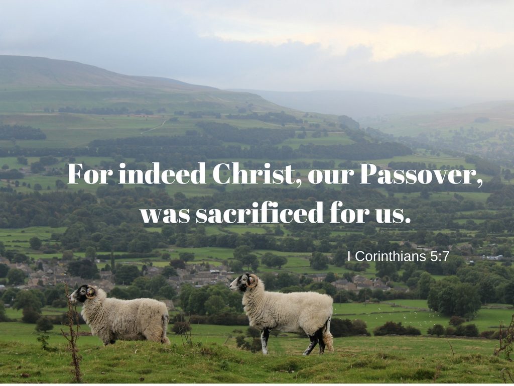 For indeed Christ our Passover was sacrificed for us. 1024x768