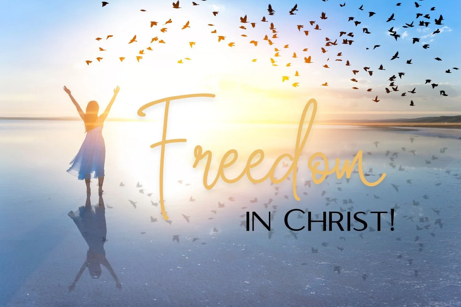 FreedominChrist