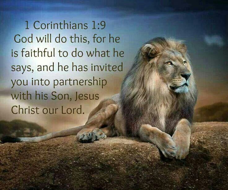 44f17687e34f1830bab7477aac0a8ba9