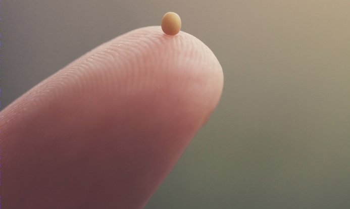 a single mustard seed