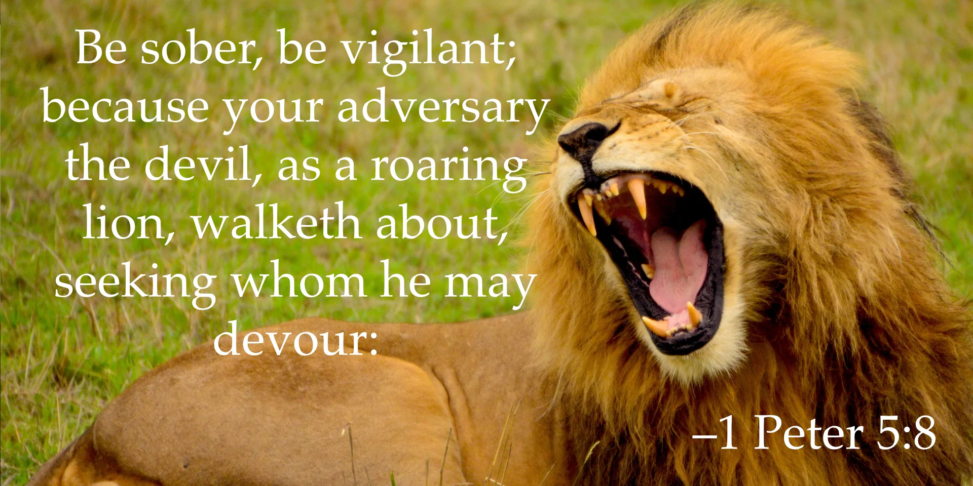 adversaryroars