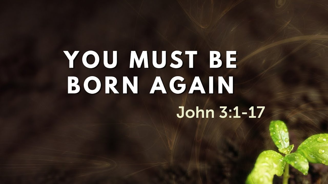 bornagain