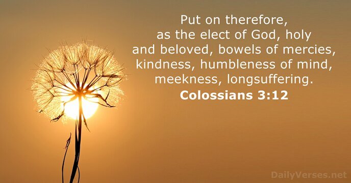 colossians 3 12 3