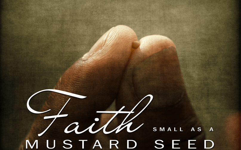 mustard seed