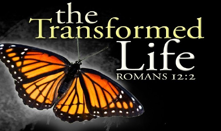 the transformed life 1 728