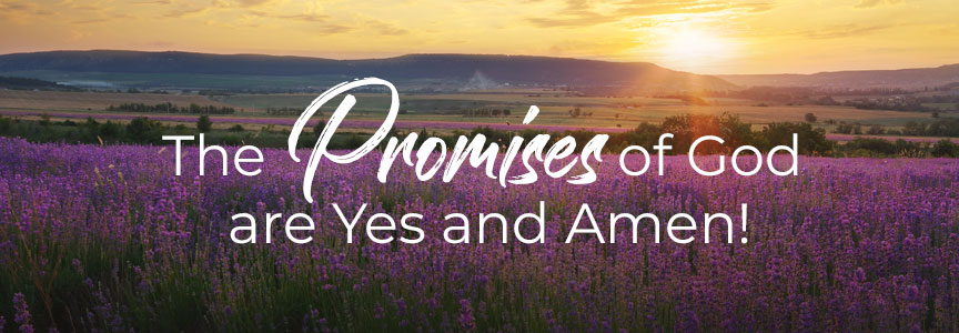 yesandamenpromises