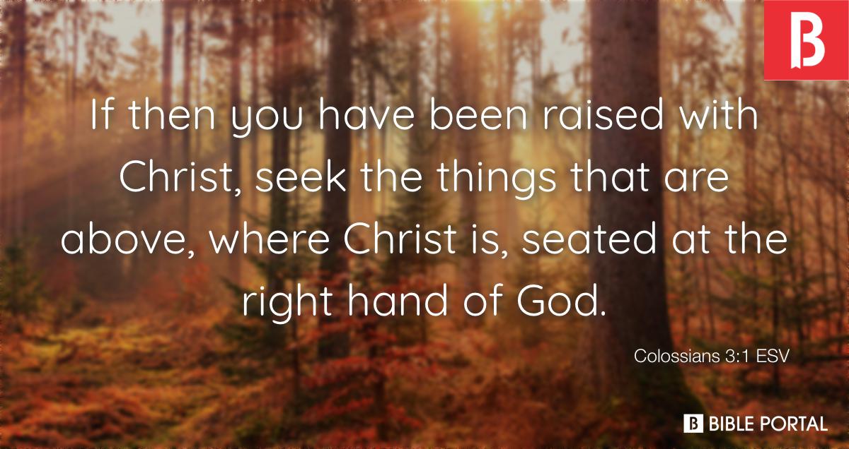 colossians31 if then you have been raised with christ seek the things that ESV 4826 9 wide