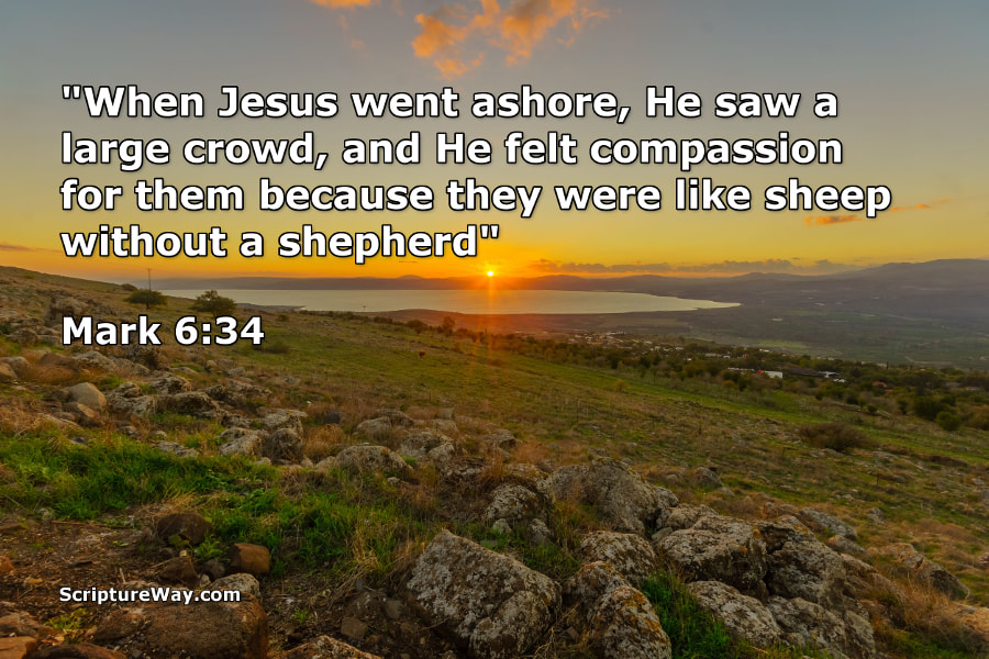 jesuscompassion