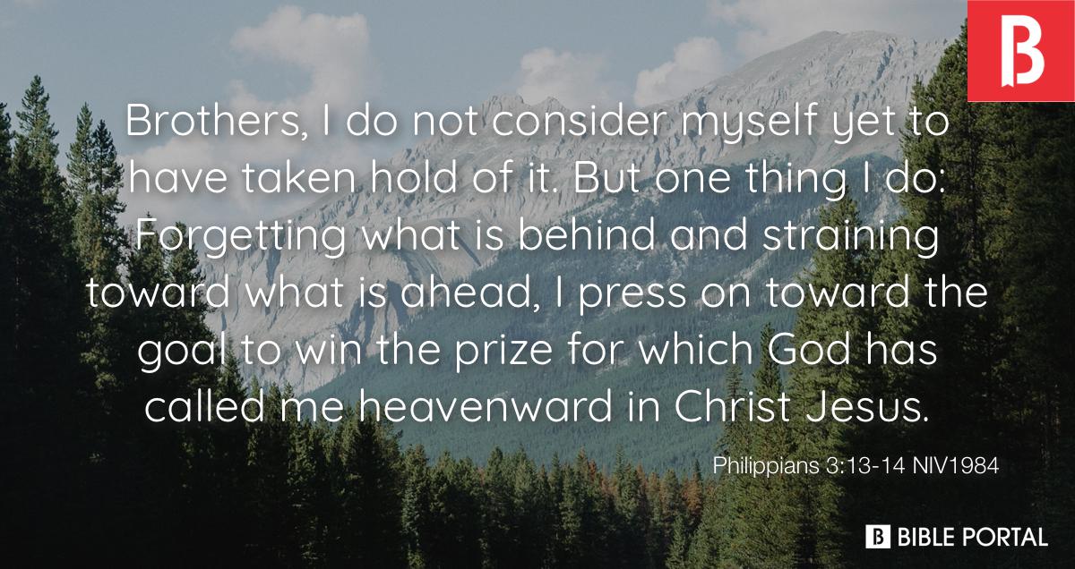 philippians313 14 brothers i do not consider myself yet to have taken hold NIV1984 24644 8 wide