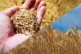 seedtime and harvest