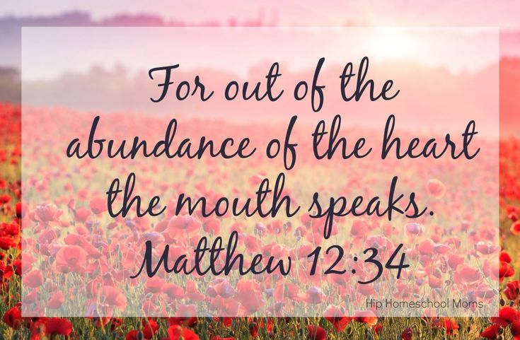theabundanceof the heart